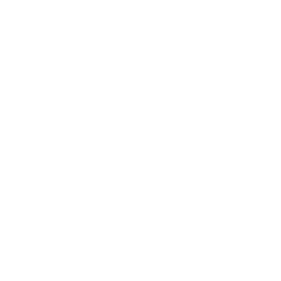 Royal Box - Protective Leather Pouch